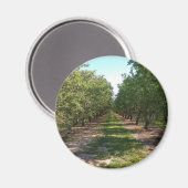 Mooie groene neverending Orchard Row Magneet (Voorkant / Achterkant)