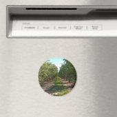 Mooie groene neverending Orchard Row Magneet (Insitu (Vaatwasser))