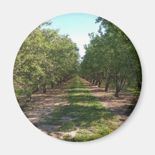 Mooie groene neverending Orchard Row Magneet (Voorkant)
