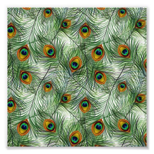 Mooie groene Peacock Feather Foto Afdruk (Voorkant)