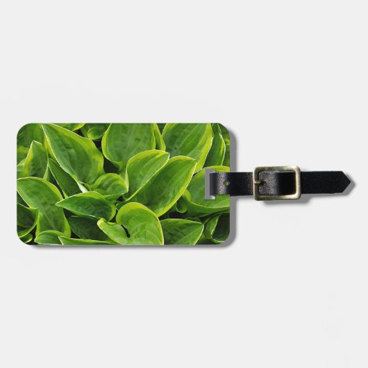 Mooie groene plant bagagelabel (Voorkant horizontaal)