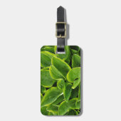 Mooie groene plant bagagelabel (Voorkant verticaal)