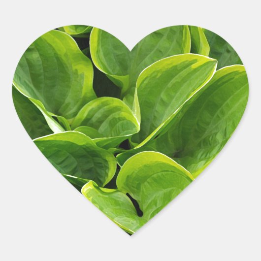 Mooie groene plant hart sticker (Voorkant)
