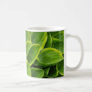 Mooie groene plant koffiemok