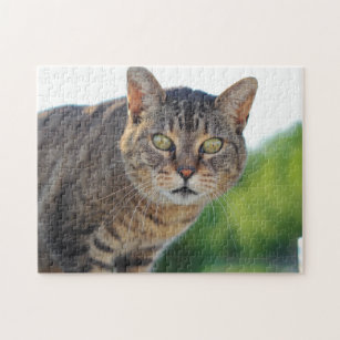 Mooie groene rode tablet Cat Kitten Portret Legpuzzel