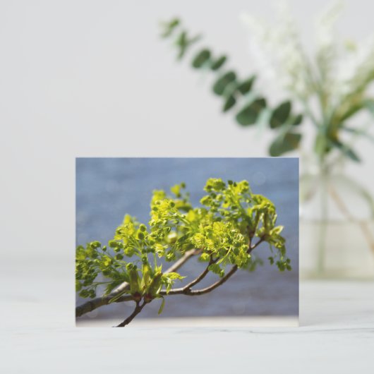 Mooie groene tak in de wind briefkaart (Staand voorkant)