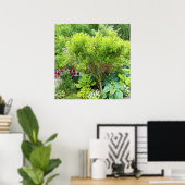 Mooie groene tuinaanleg met Hostas Poster (Thuiskantoor)