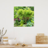 Mooie groene tuinaanleg met Hostas Poster (Keuken)