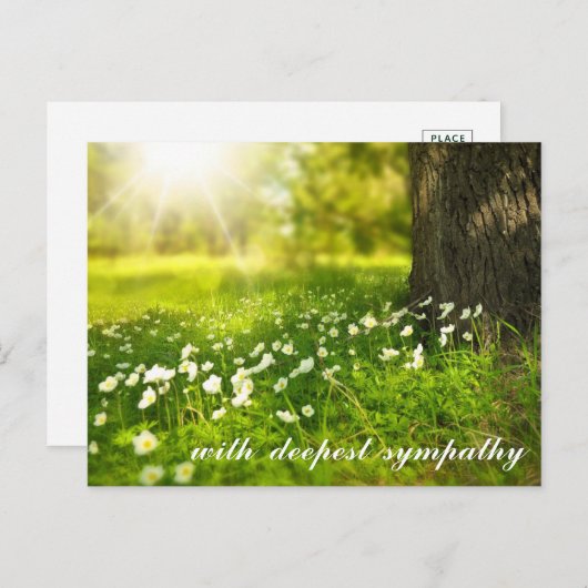 Mooie groene vallei met sympathie van White Flower Briefkaart (Voorkant / Achterkant)