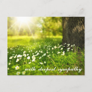 Mooie Groene Vallei met Witte Bloemen Condoleance Briefkaart