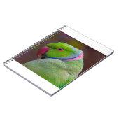 Mooie groene vogel notitieboek (Linkerzijde)