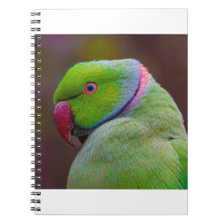 Mooie groene vogel notitieboek
