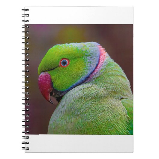 Mooie groene vogel notitieboek (Voorkant)
