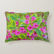 Mooie Groene Weigela met Crimson Flowers
