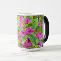 Mooie Groene Weigela met Crimson Flowers