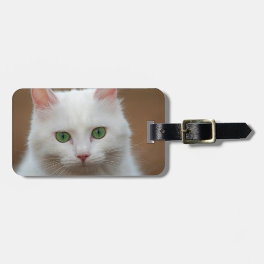 Mooie groene witte kattenportret. bagagelabel (Voorkant horizontaal)