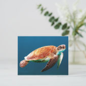 Mooie groene Zeeen schildpad Kaart (Staand voorkant)