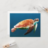 Mooie groene Zeeen schildpad Kaart (Voorkant / Achterkant in situ)