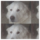 Mooie Grote Pyreneeën Dog Stof (Close Up)