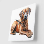 MOOIE GROTE RHODESIAN RIDGEBACK HOND VIERKANTE KLOK (Hoek)