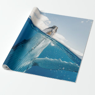 Mooie grote walvis cadeaupapier