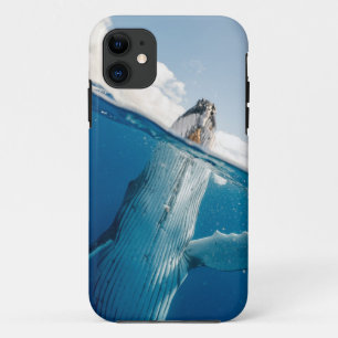 Mooie grote walvis Case-Mate iPhone case