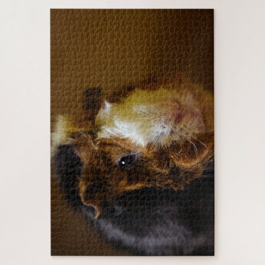 Mooie Guinee Pig, Jigzaag Puzzle Legpuzzel (Verticaal)