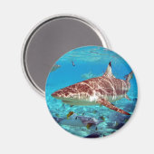 Mooie haai magneet (Voorkant / Achterkant)