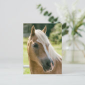 Mooie haflinger paard portret briefkaart (Staand voorkant)