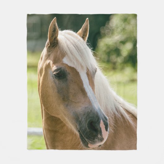 Mooie haflinger paard portret fleece deken (Voorkant)