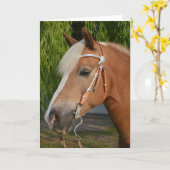 Mooie haflinger paard portret kaart (Gele Bloem)