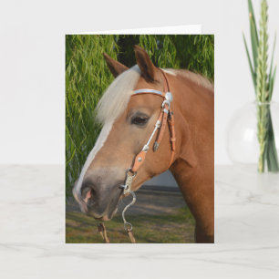 Mooie haflinger paard portret kaart