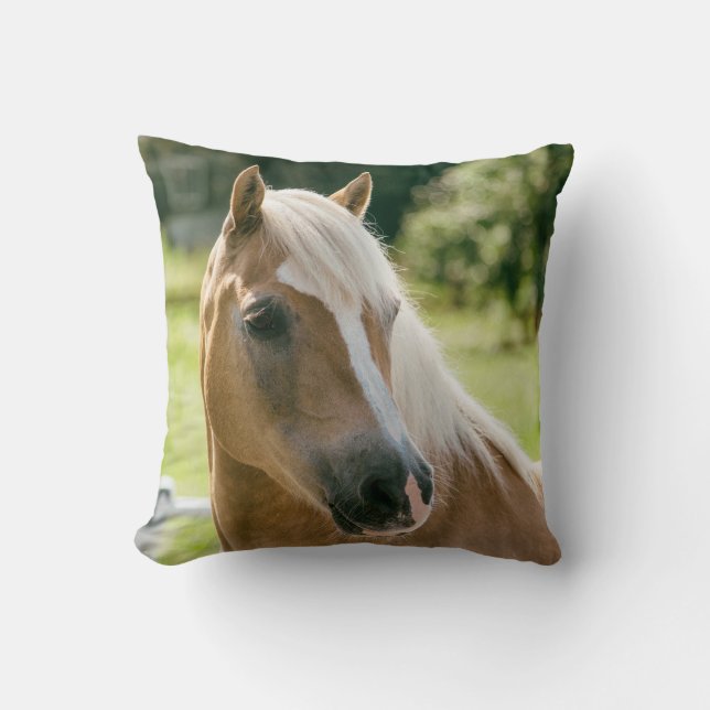 Mooie haflinger paard portret kussen (Voorkant)