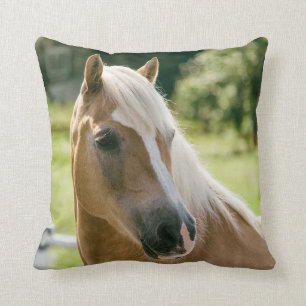 Mooie haflinger paard portret kussen