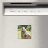 Mooie haflinger paard portret magneet (Insitu (Vaatwasser))