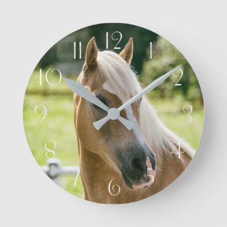 Mooie haflinger paard portret ronde klok