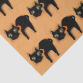 Mooie Halloween Zwarte Katten Tissuepapier (Detail)