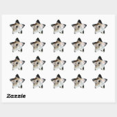 Mooie hamster sterrenstickers ster sticker (Vel)