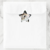 Mooie hamster sterrenstickers ster sticker (Tas)