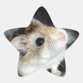 Mooie hamster sterrenstickers ster sticker