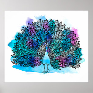 Mooie hand getrokken Peacock-vogel bestaat uit vee Poster