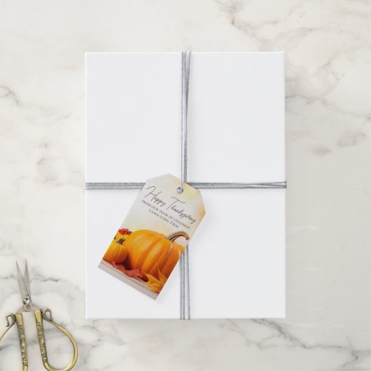 Mooie Happy Thanksgiving  Pompoen Cadeaulabel (Met Touw)