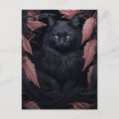 Mooie harige zwarte kat briefkaart (Voorkant)