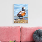Mooie Harlekijneend op de Rots Canvas Afdruk (Insitu (Woonkamer))