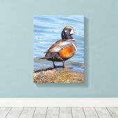 Mooie Harlekijneend op de Rots Canvas Afdruk (Insitu (Houten vloer))