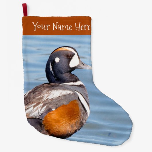 Mooie Harlequin Duck aan het strand Grote Kerstsok (Voorkant)