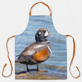 Mooie Harlequin Duck aan het strand Schort (Voorkant)