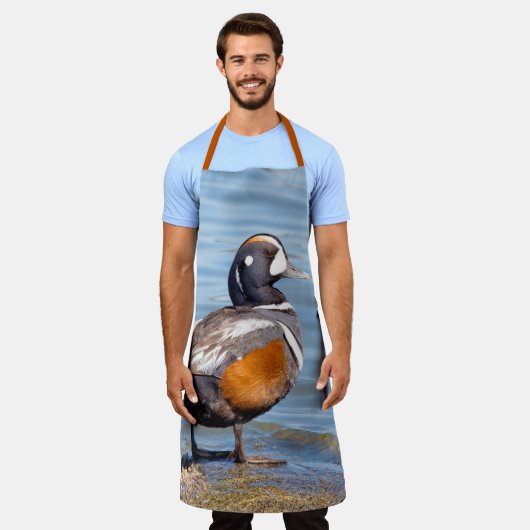 Mooie Harlequin Duck aan het strand Schort (Gedragen)