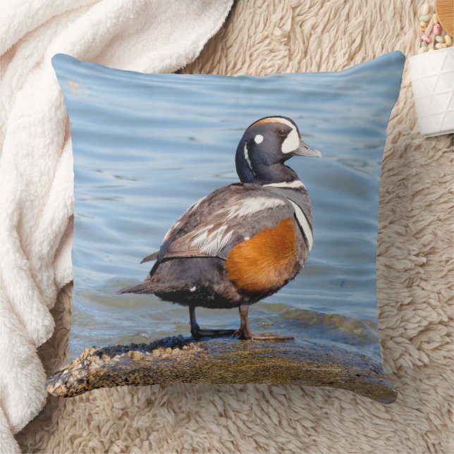 Mooie Harlequin Duck op Beach Shoreline Kussen (Deken)
