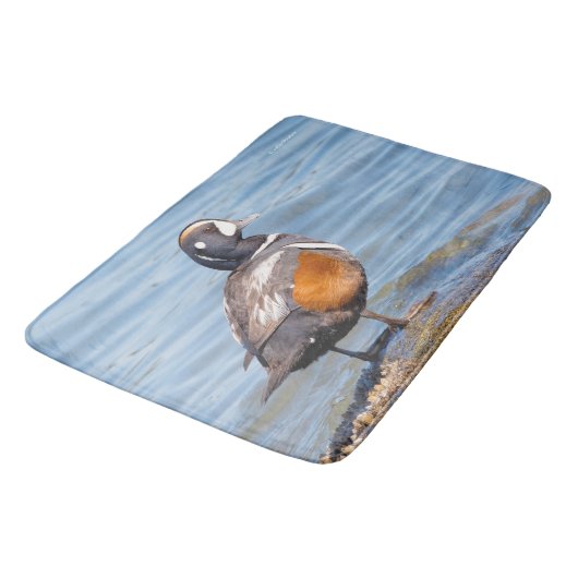 Mooie Harlequin Duck op de Rock Badmat (Gekanteld)